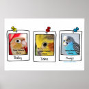 Zoek naar papegaai foto posters Parkiet