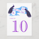 Zoek naar blauwe briefkaarten Gast