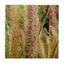 Zoek naar macro tegels Foto