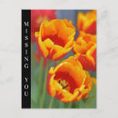Zoek naar tuinbloemen briefkaarten Rood