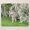 Zoek naar alaskan malamute dekens Hond