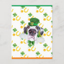 Zoek naar ierse dans briefkaarten Shamrock