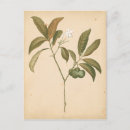 Zoek naar deco briefkaarten Panelen