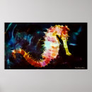 Zoek naar zeepaardje posters Elk persoon