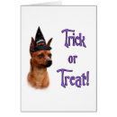 Zoek naar miniature pinscher briefkaarten Canine