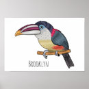 Zoek naar krul posters Vogel