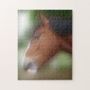 Zoek naar paarden puzzels Voor haar