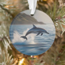 Zoek naar dolfijn in oceaan ornamenten Ocean