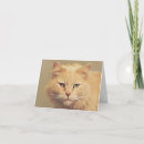 Zoek naar kattenschilderijen kaarten Kattenliefhebbers
