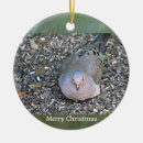 Zoek naar duif ornamenten Kerstmis