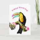 Zoek naar toucans kaarten Voor iedereen