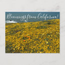 Zoek naar ocea briefkaarten California