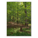 Zoek naar rust in vrede briefkaarten Bomen