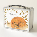 Zoek naar dieren lunchboxen Ieder kind