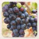 Zoek naar druiven onderzetters Vintage