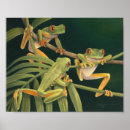 Zoek naar kikkers kunst Regenwoud