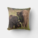 Zoek naar indische olifant kussens Dier