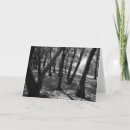 Zoek naar ansel adams kaarten Foto's