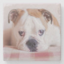 Zoek naar english onderzetters Puppy