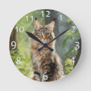 Zoek naar maine coon kunst Feliene