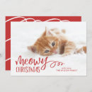 Zoek naar meowy christmas briefkaarten Katten
