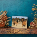 Zoek naar paarden fotoplaat Boerderij