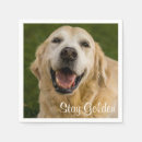 Zoek naar golden retriever servetten Cocktail