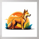 Zoek naar australische dieren posters Zoogdier