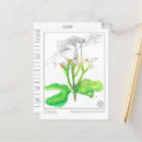 Zoek naar kruidnagel posters Elk persoon