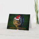 Zoek naar kattenkerstmis kaarten Dier