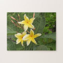 Zoek naar gele bloemen puzzels Botanisch