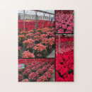 Zoek naar rode bloem puzzels Voor iedereen