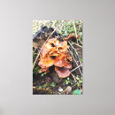 Zoek naar houten boomstam kunst Natuur
