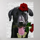 Zoek naar roze hond posters Rozen