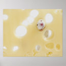 Zoek naar opname posters Motivatie