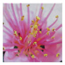 Zoek naar macro kunst Abstracte