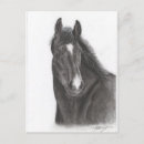 Zoek naar paard tekening briefkaarten Boerderij