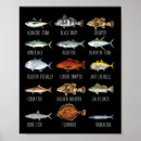 Zoek naar zoutwater vissen posters Wandelen