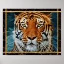 Zoek naar tijger gezicht posters Wild dier