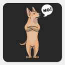 Zoek naar dog hondenshirts Dixie dingo