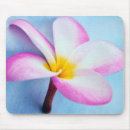 Zoek naar parfum muismatten Bloemen