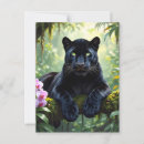 Zoek naar panters briefkaarten Zwarte panter