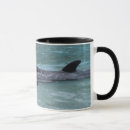 Zoek naar orka walvis mokken Water