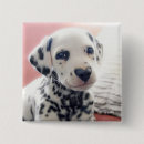 Zoek naar neus buttons Grappig