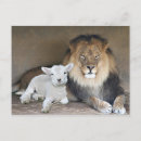 Zoek naar lion briefkaarten Vrede op aarde