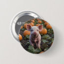Zoek naar pleister buttons Dier