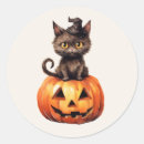 Zoek naar oranje kat stickers Elk persoon