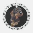 Zoek naar dachshund ornamenten Voor huisdieren