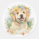 Zoek naar golden retriever stickers Floreel