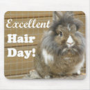 Zoek naar konijn muismatten Bunny